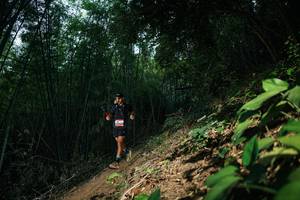 BIB: 
                            <button type="button" onclick="openModal(28141561)" class="btn btn-primary btn-sm float-right btn-popup" data-toggle="modal" data-target=".modal-high-quality">
                        <i class="fas fa-shopping-cart"></i> Add to Cart
                    </button>
                                            <button type="button" onclick="isThisMe(28141561, true)" class="btn btn-success btn-sm float-right btn-popup btn-isme hidden" data-toggle="tooltip" data-placement="bottom" title="นี่คือรูปของคุณใช่ไหม คลิกที่นี่เพื่อเอาเข้าอัลบั้ม">
                        <i class="fas fa-plus"></i> Add to album
                    </button>
                    <button type="button" onclick="isThisMe(28141561, false)" class="btn btn-warning btn-sm float-right btn-popup btn-isnotme hidden">
                        <i class="fas fa-ban"></i> Remove from album
                    </button>